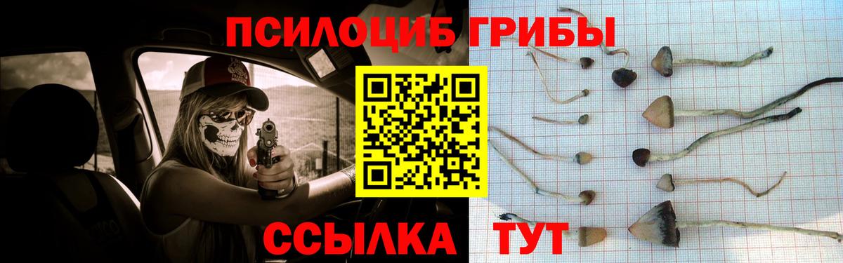 Псилоцибиновые грибы Magic Shrooms  Вход с VPN  Галлюциногенные грибы мухоморы  Ангарск 