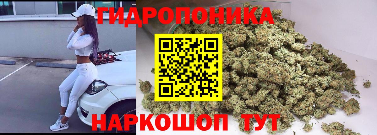 Ангарск  Канабис марихуана  Вход с VPN  Каннабис Bruce Banner  МАРИХУАНА планчик  Канабис конопля 